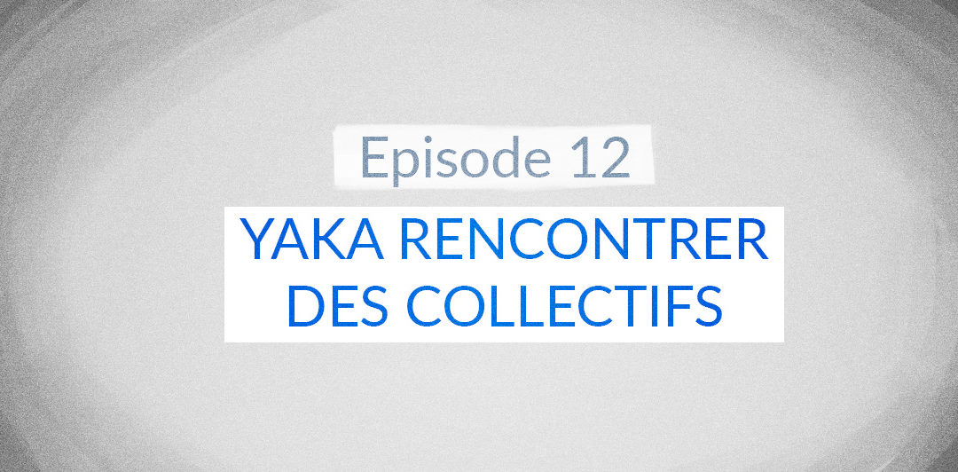 Voir la BD Yaka rencontrer des collectifs-YakafokonRIC #12