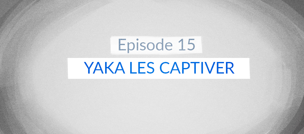 Voir la BD Yaka les captiver – YakafokonRIC #15